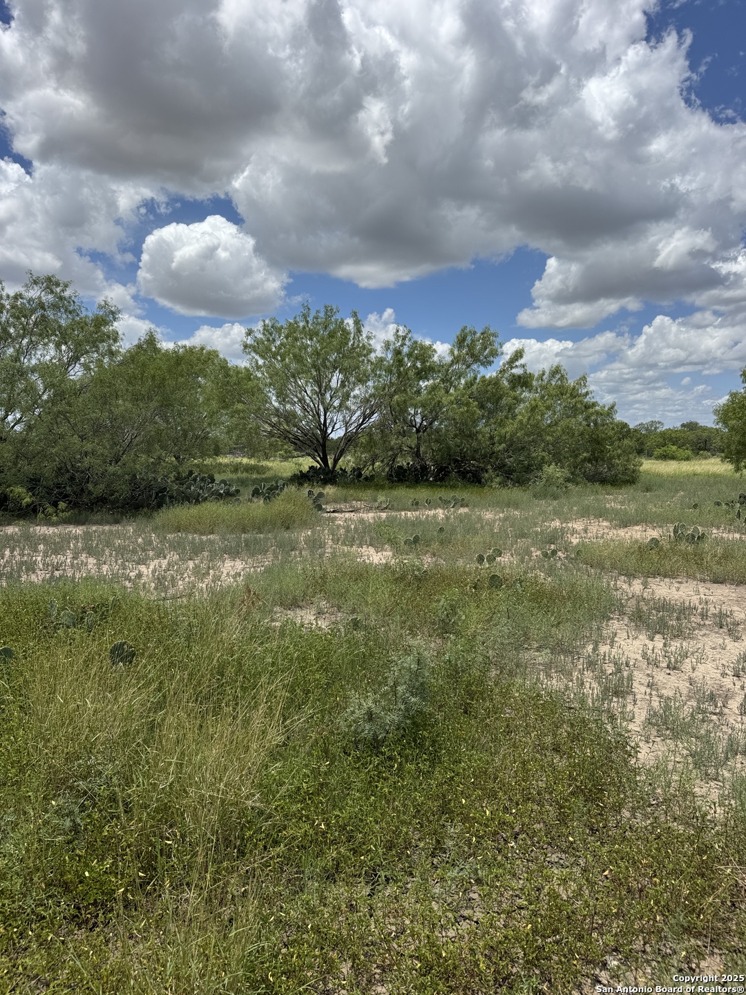 4 Windmill Ranchettes Cr 329 Pleasanton, TX 78064 - Photo 4 of 4 a view of a field with an ocean