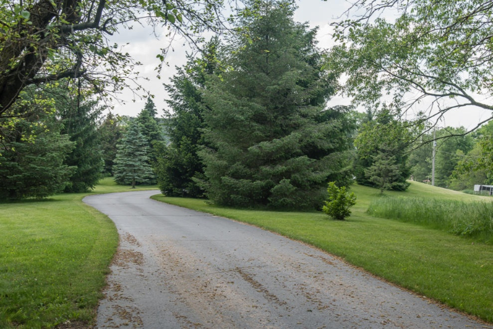 10852 South Enzian Road Delton, MI 49046 - Photo 45 of 75 DSC_7660