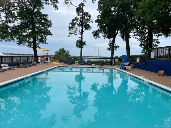swimming pool with trees in the background