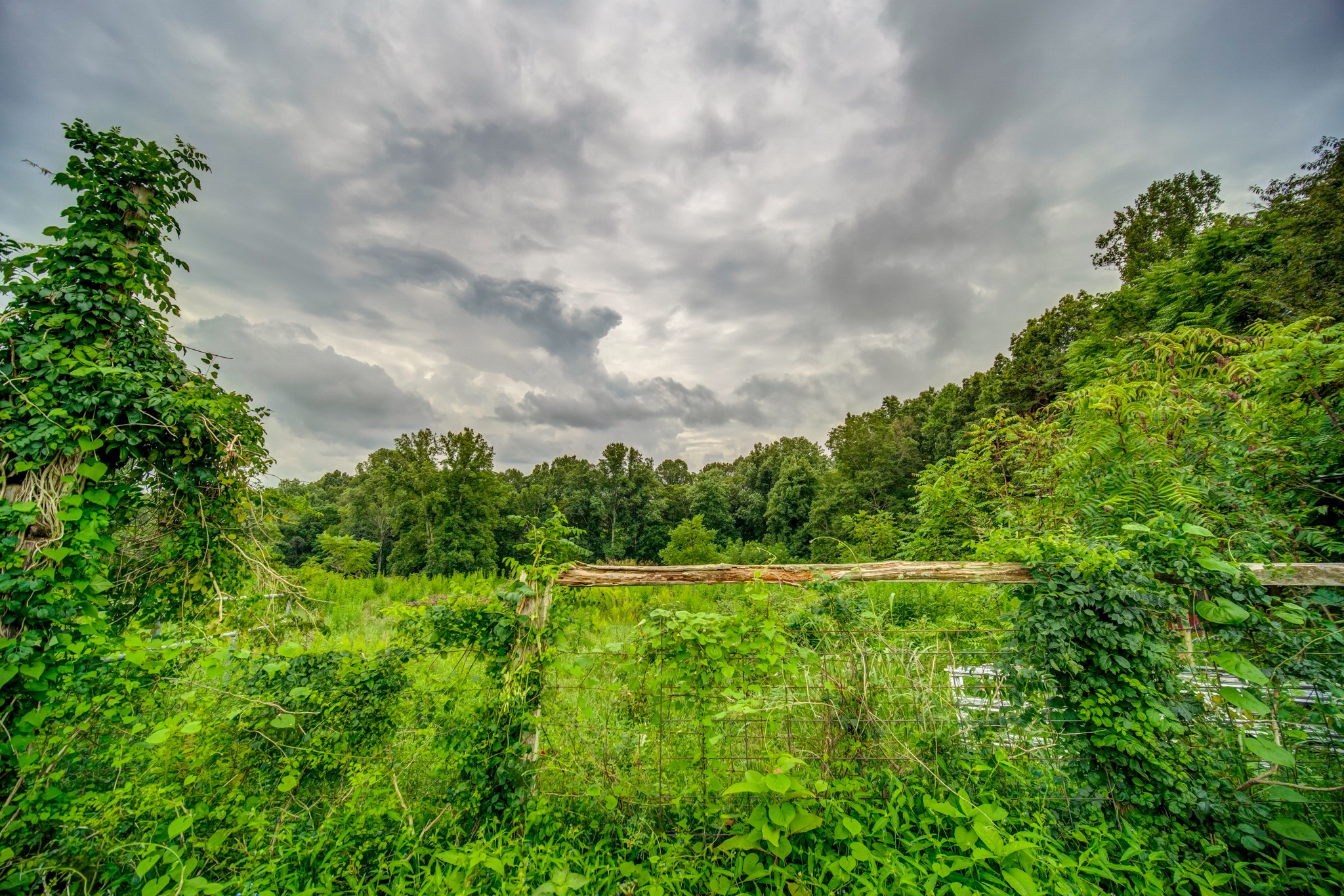 1377 Deal Road Burns, TN 37029 - Photo 38 of 47 a view of a garden with an outdoor space