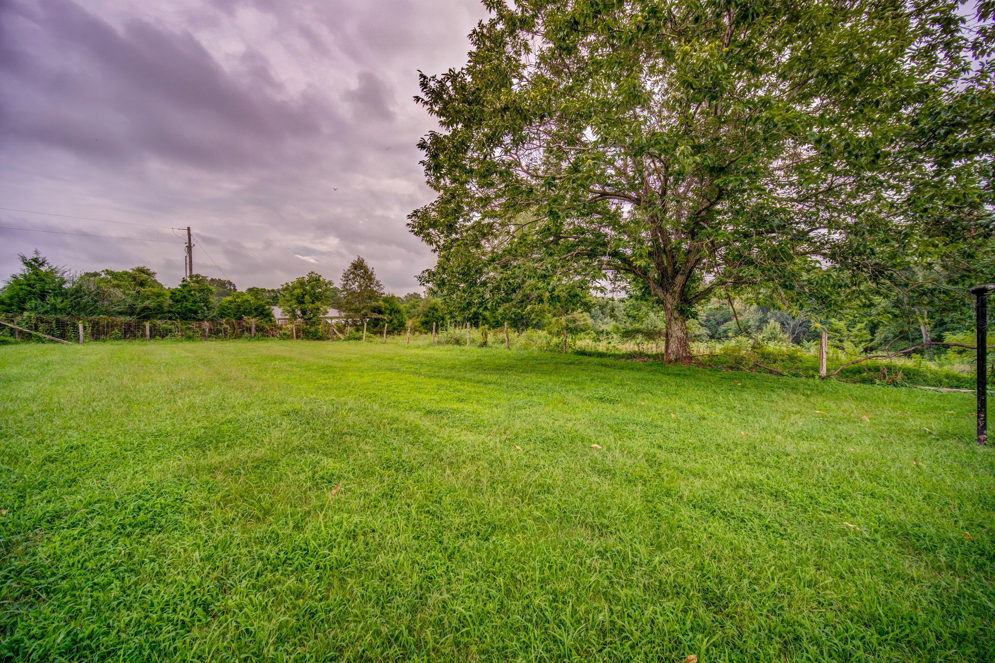1377 Deal Road Burns, TN 37029 - Photo 44 of 47 a view of a grassy field