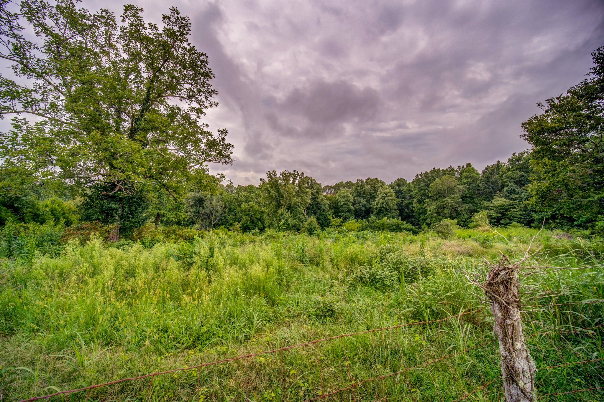 1377 Deal Road Burns, TN 37029 - Photo 45 of 47 a view of a green field