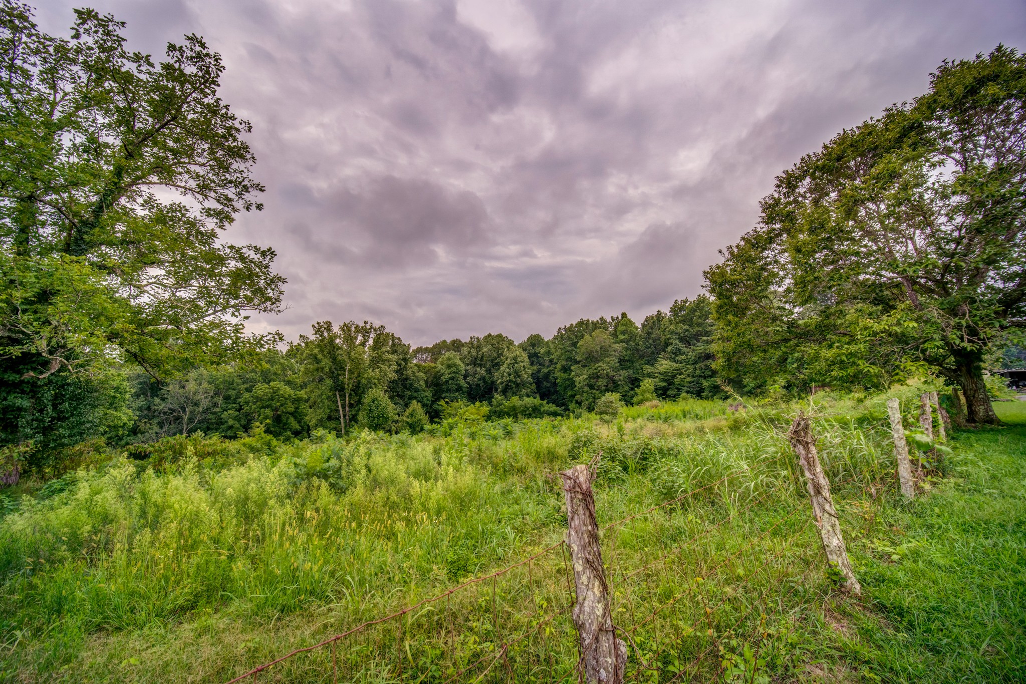 1377 Deal Road Burns, TN 37029 - Photo 46 of 47 a view of a lush green space