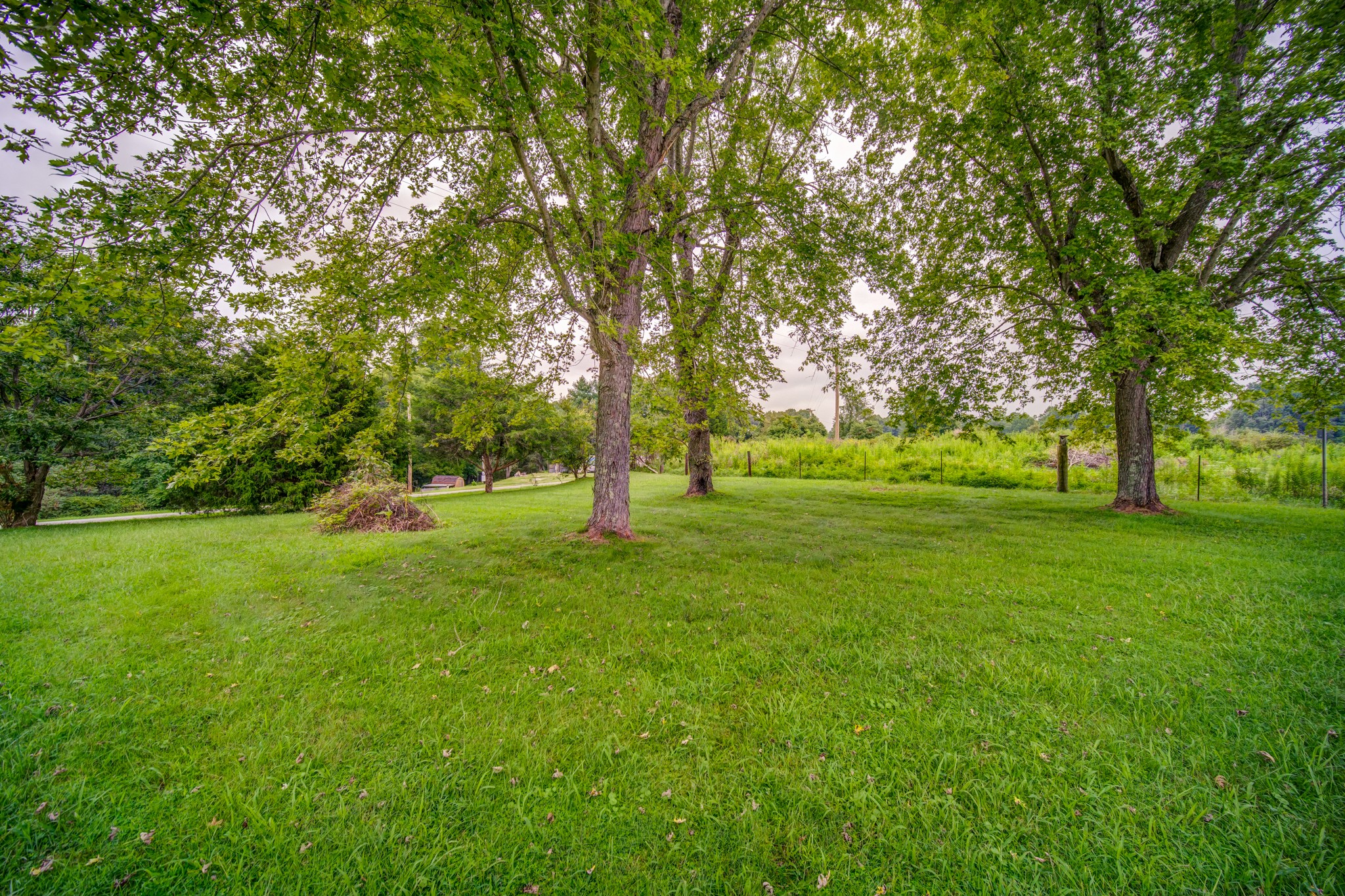 1377 Deal Road Burns, TN 37029 - Photo 47 of 47 a view of grassy field with trees