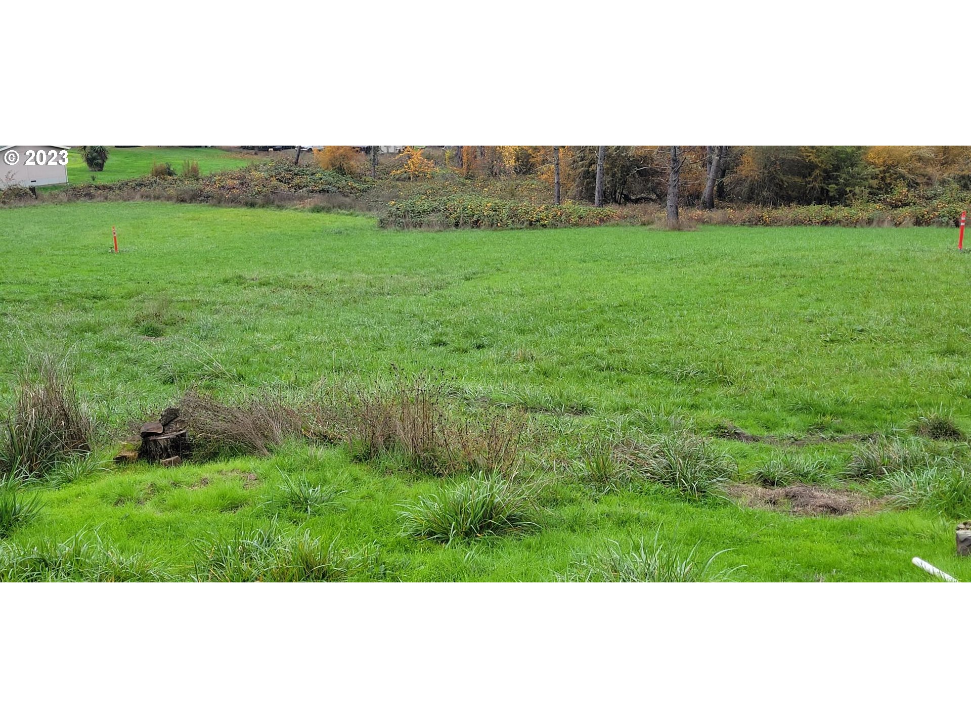 362 Northside Road Sutherlin, OR 97479 - Photo 4 of 4 a view of field with grass and trees