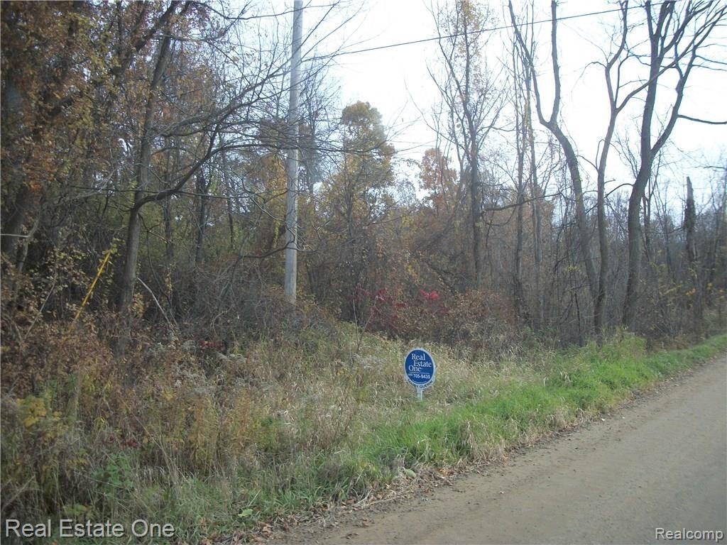 Par A South Jossman Road Ortonville, MI 48462 - Photo 2 of 2