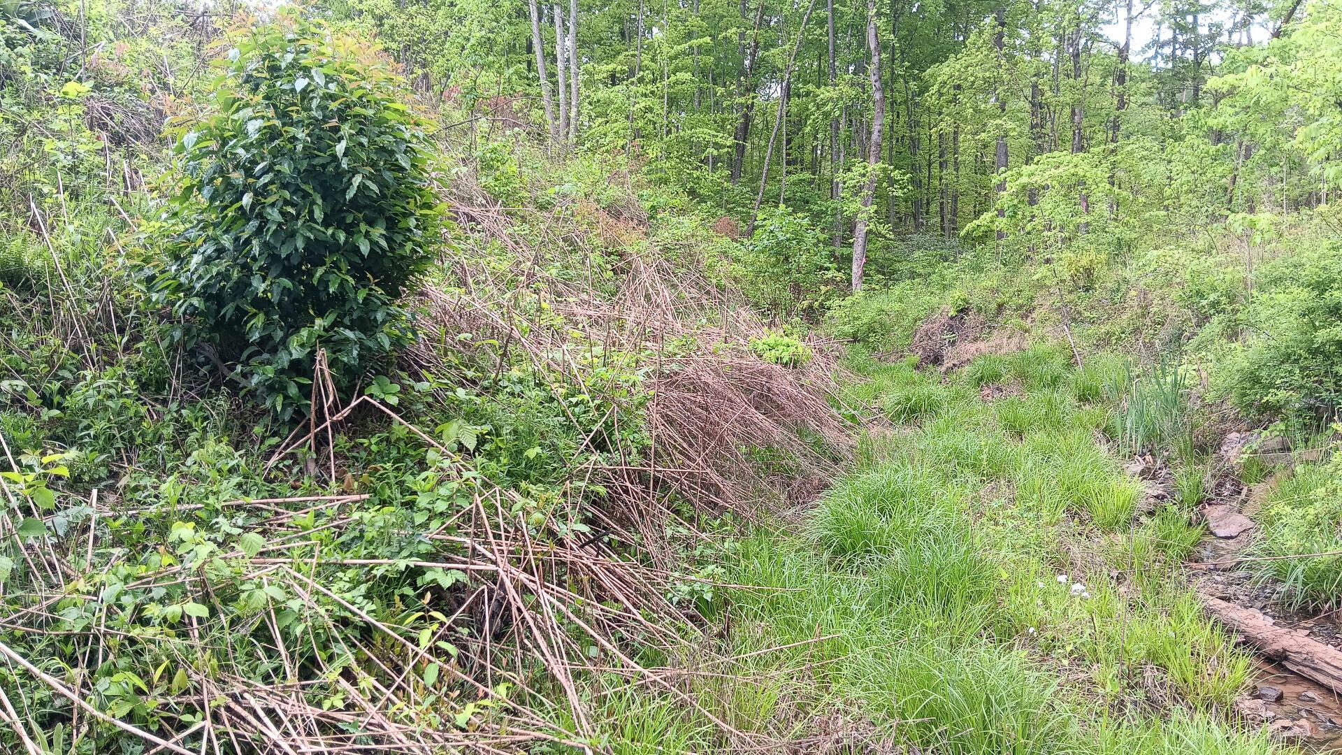 0 Hampton Hollow Road, Unit 7 ACRE TRACT) Langsville, OH 45741 - Photo 5 of 55
