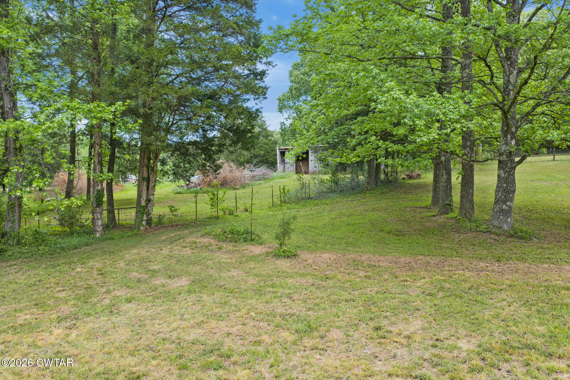2827 Chapel Hill Road McKenzie, TN 38201 - Photo 28 of 40 a view of a tree in a yard