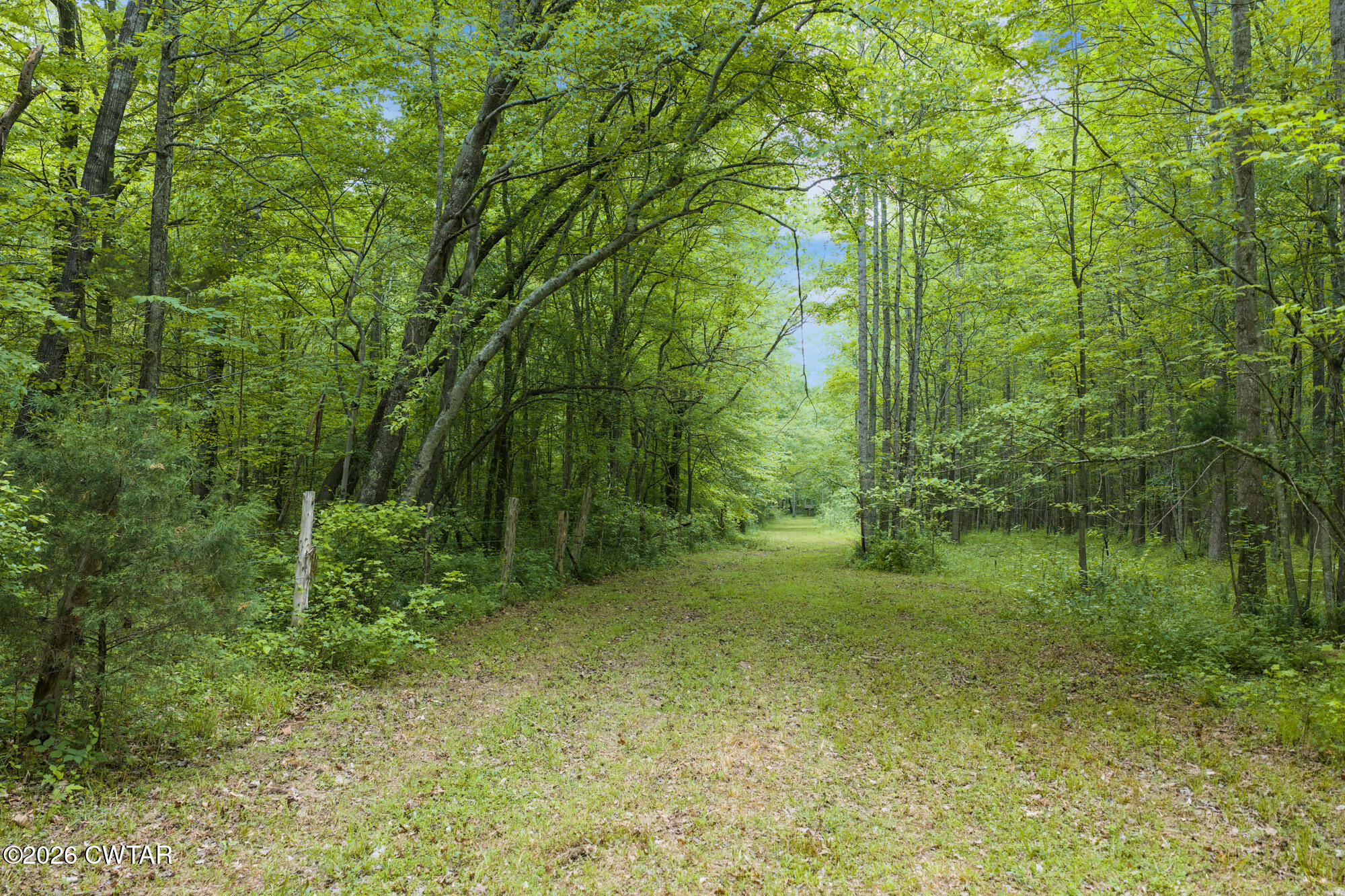 2827 Chapel Hill Road McKenzie, TN 38201 - Photo 30 of 40 DJI_20260424113935_0004_D