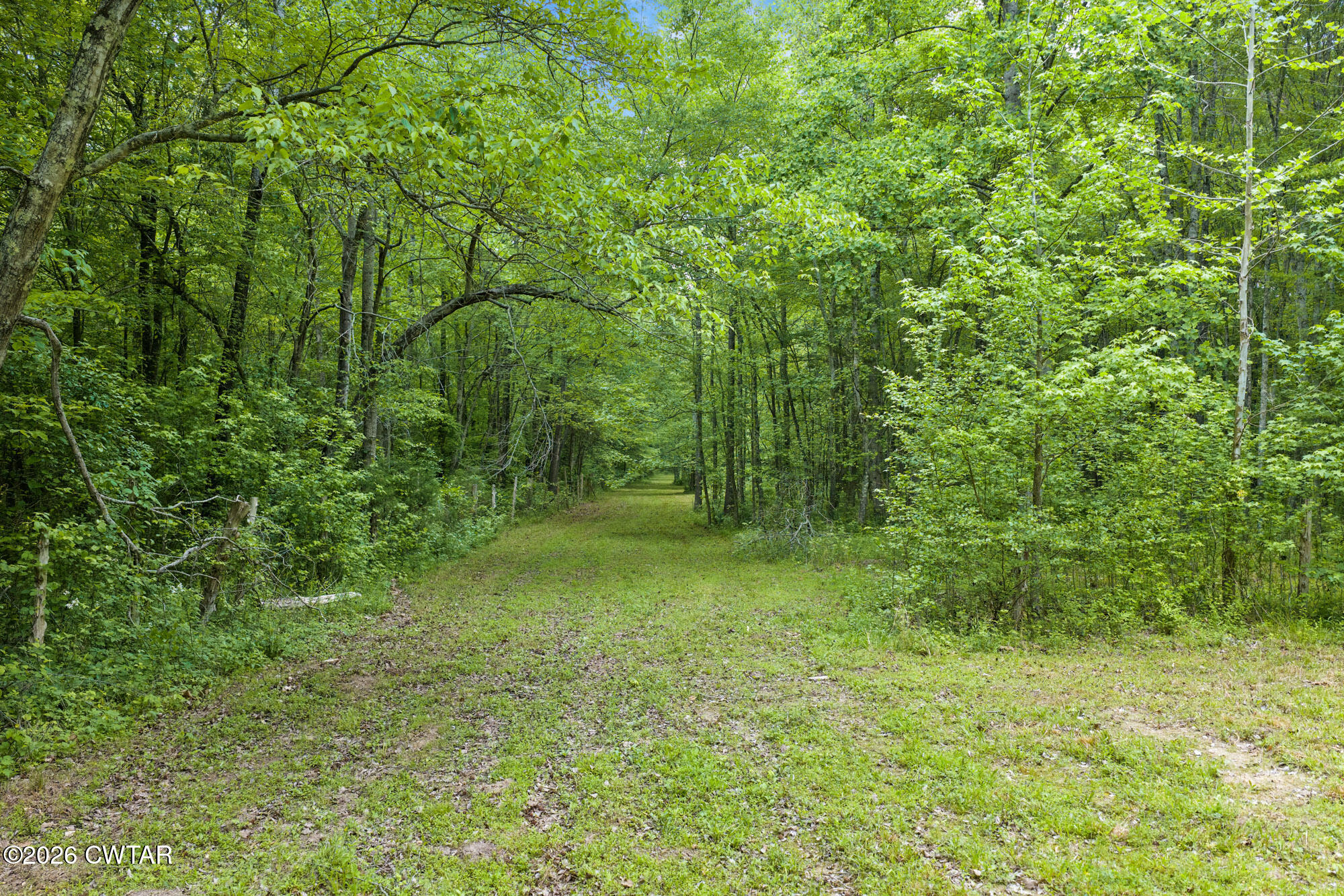 2827 Chapel Hill Road McKenzie, TN 38201 - Photo 31 of 40 a view of a lush green space