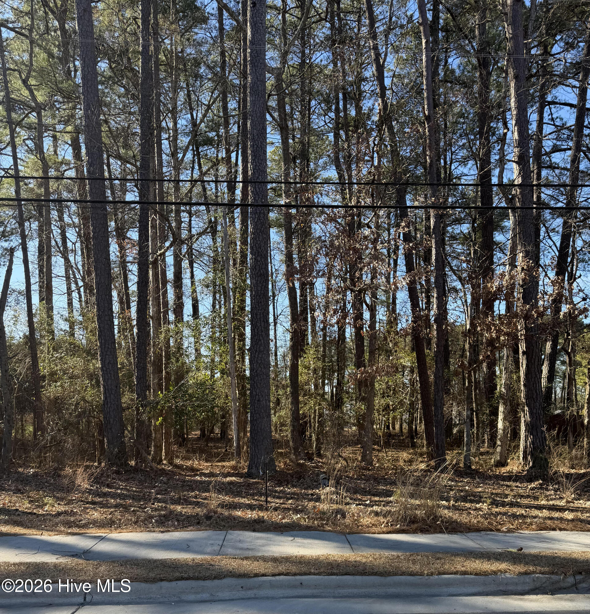 Lot 3 Springfield Road Rocky Mount, NC 27801 - Photo 2 of 2 Springfield Road lot