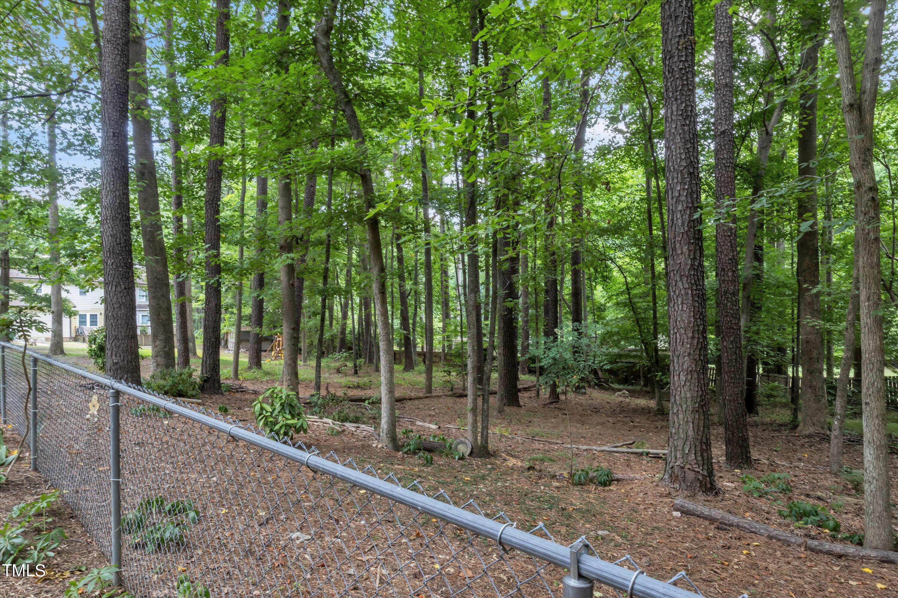 9208 Tree Meadow Lane Raleigh, NC 27603 - Photo 53 of 61 58-IMG_5763