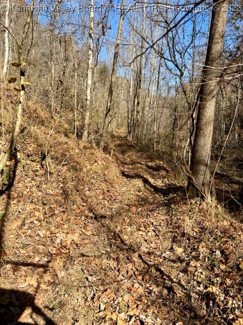 0 North Grapevine Road Charleston, WV 25320 - Photo 2 of 22 Gallery Image 2
