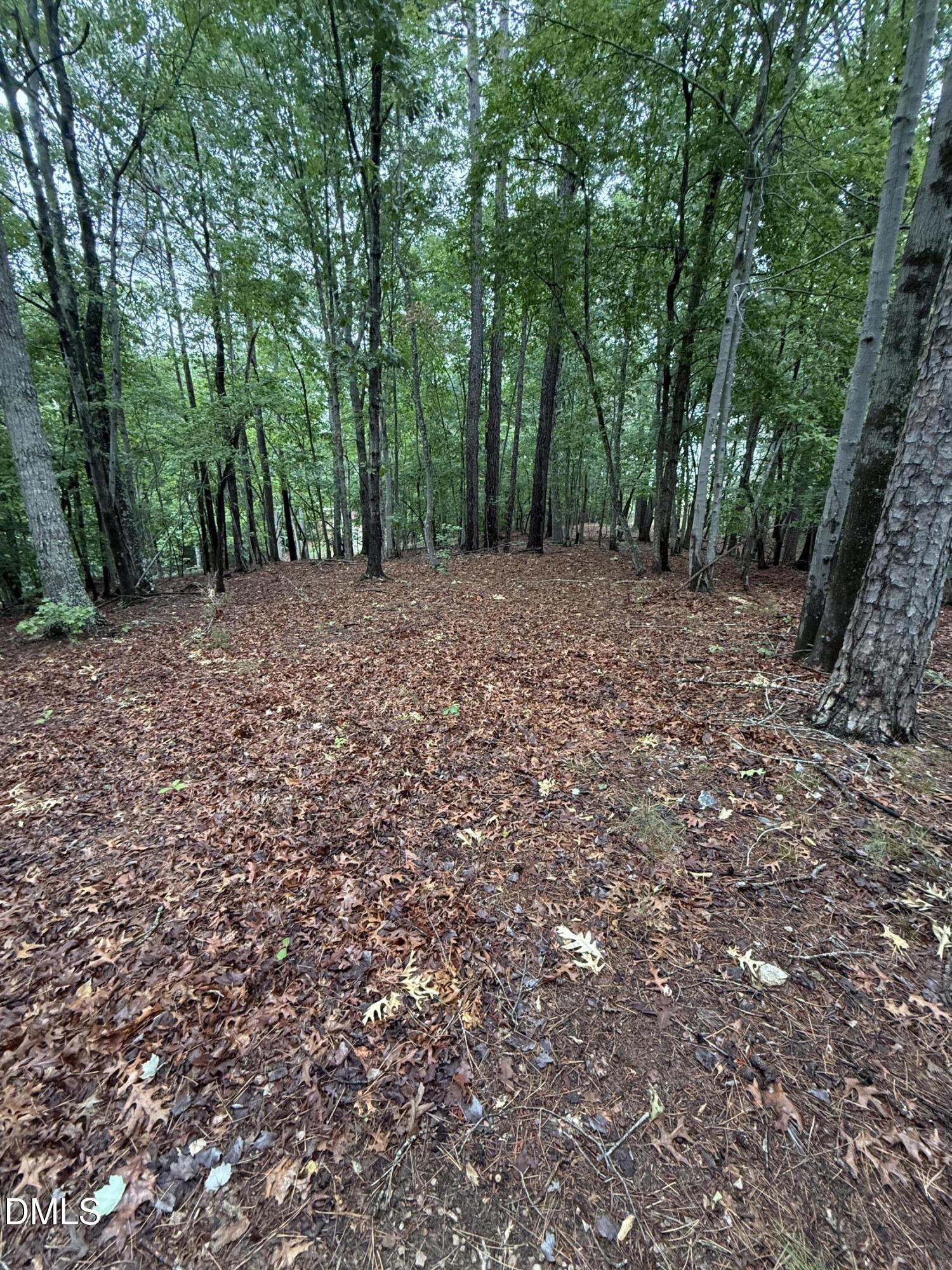 0 Edwards Ridge Road Littleton, NC 27850 - Photo 15 of 24