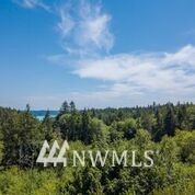 3 Glacier Ridge Road Quilcene, WA 98376 - Photo 14 of 21 Gallery Image 14