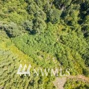 3 Glacier Ridge Road Quilcene, WA 98376 - Photo 15 of 21 Gallery Image 15