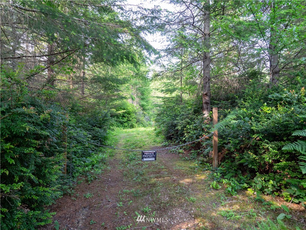 3 Glacier Ridge Road Quilcene, WA 98376 - Photo 3 of 21 Gallery Image 3