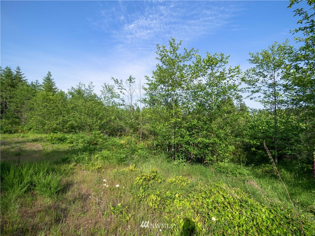 3 Glacier Ridge Road Quilcene, WA 98376 - Photo 4 of 21 Gallery Image 4