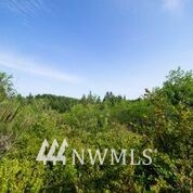 3 Glacier Ridge Road Quilcene, WA 98376 - Photo 6 of 21 Gallery Image 6