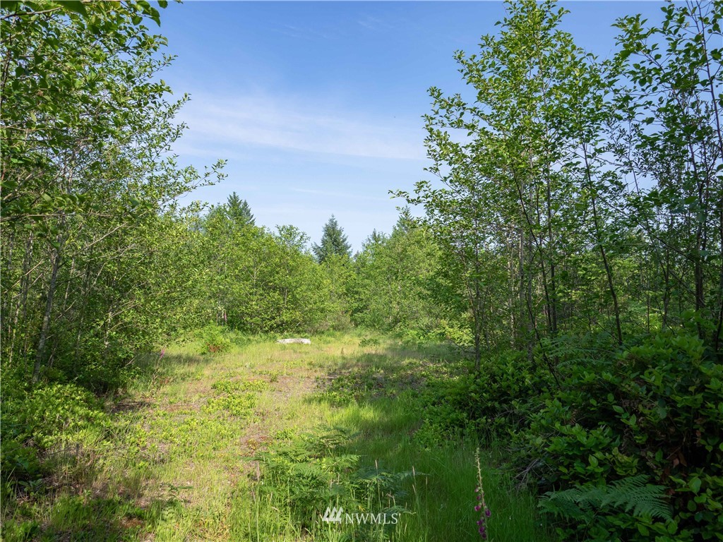 3 Glacier Ridge Road Quilcene, WA 98376 - Photo 7 of 21 Gallery Image 7