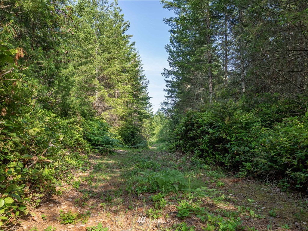 3 Glacier Ridge Road Quilcene, WA 98376 - Photo 8 of 21 Gallery Image 8