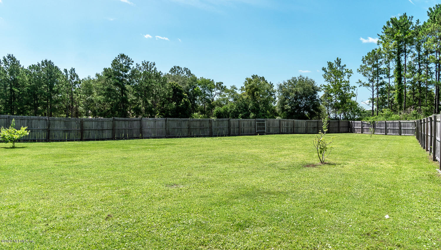 8232 Leafcrest Drive Jacksonville, FL 32244 - Photo 27 of 33 a view of yard with grass and trees