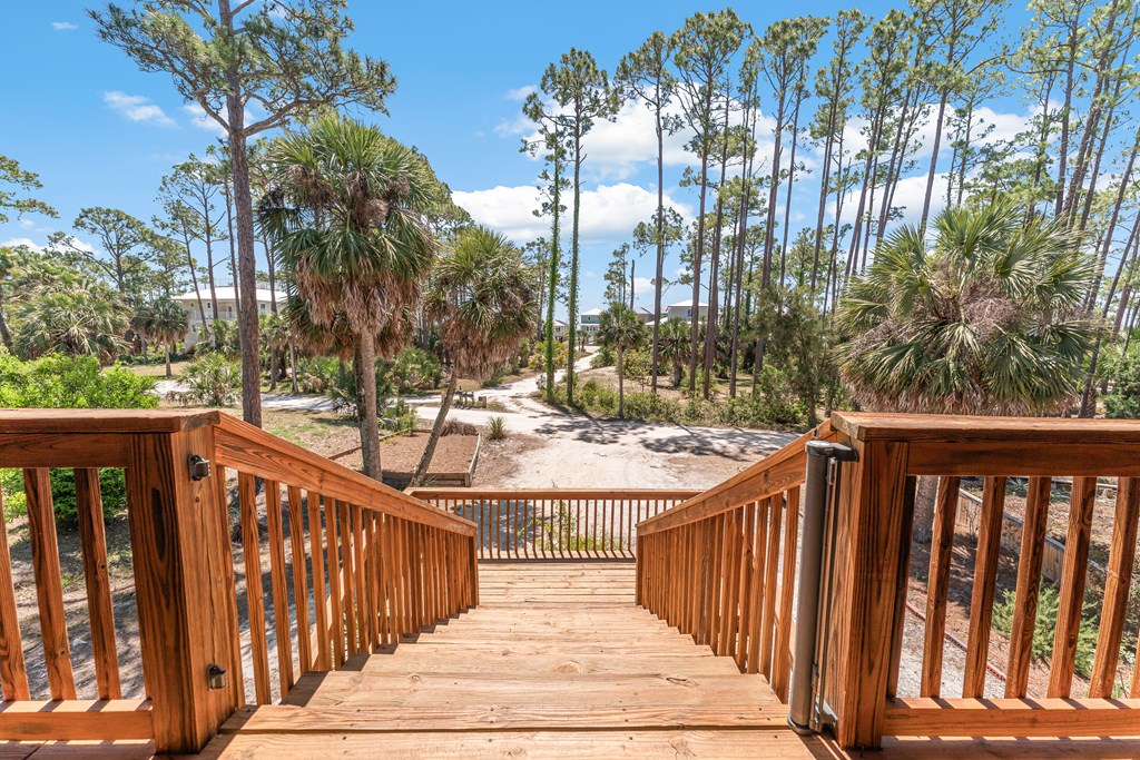 125 Painted Pony Road Port St. Joe, FL 32456 - Photo 12 of 65