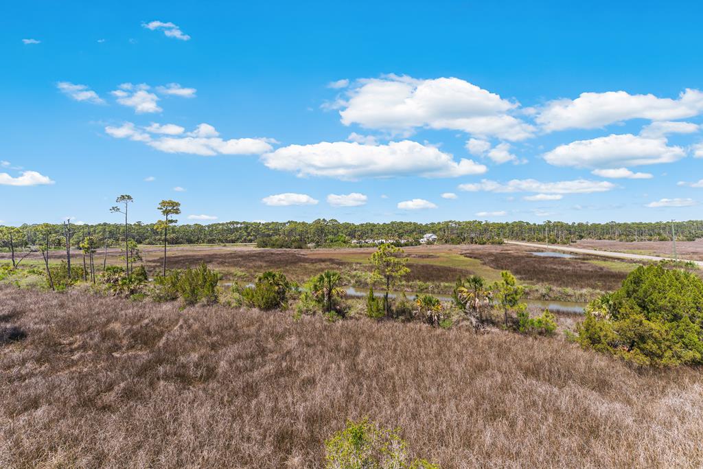 125 Painted Pony Road Port St. Joe, FL 32456 - Photo 56 of 65