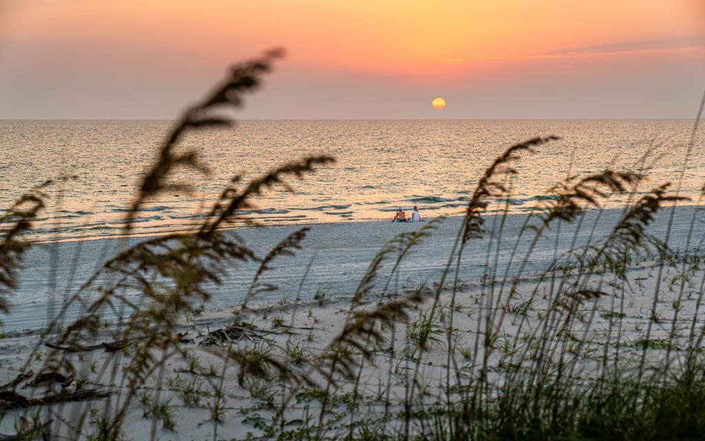 125 Painted Pony Road Port St. Joe, FL 32456 - Photo 58 of 65