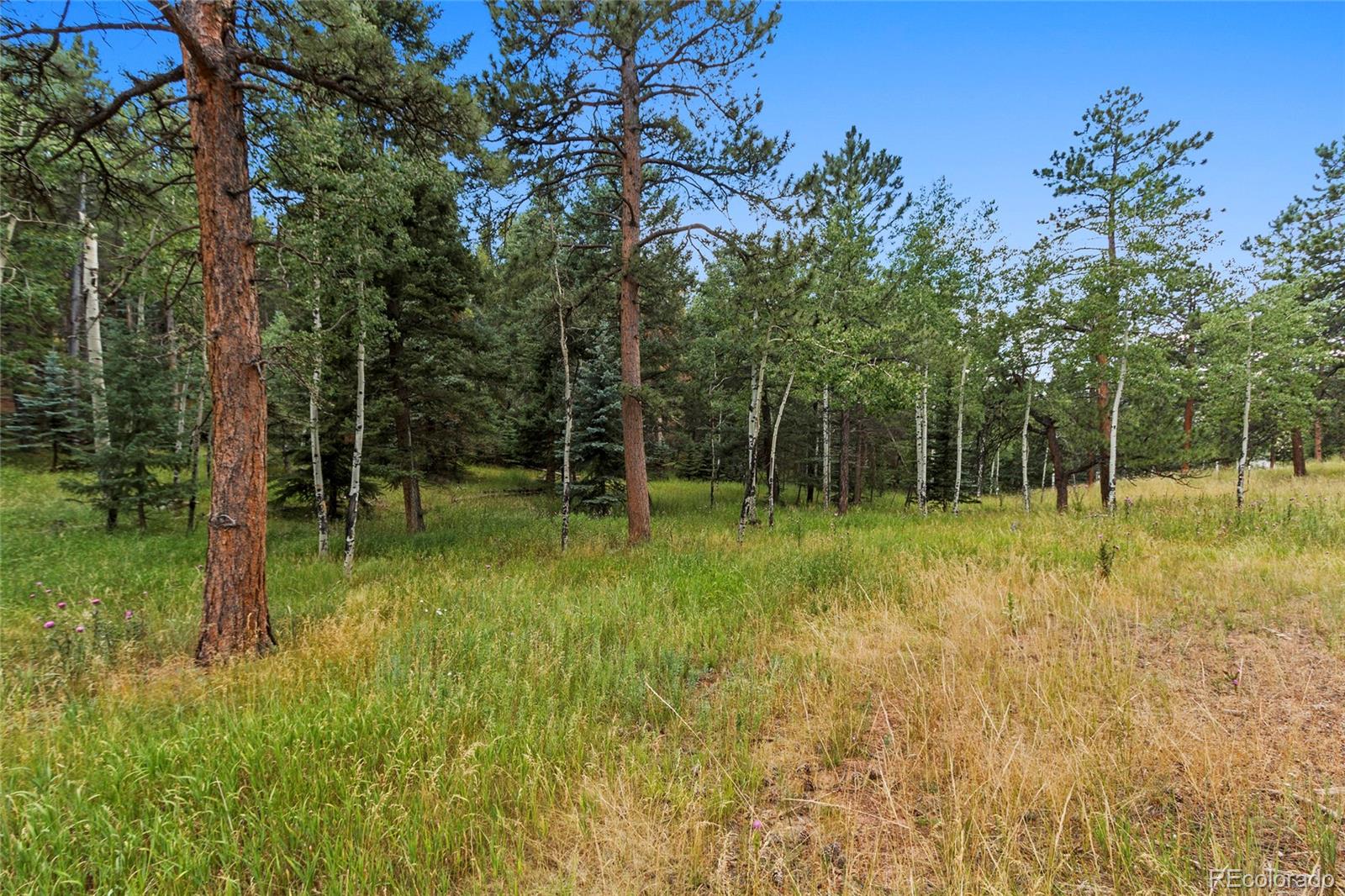 11565 Conifer Ridge Drive Conifer, CO 80433 - Photo 34 of 35 Gallery Image 34