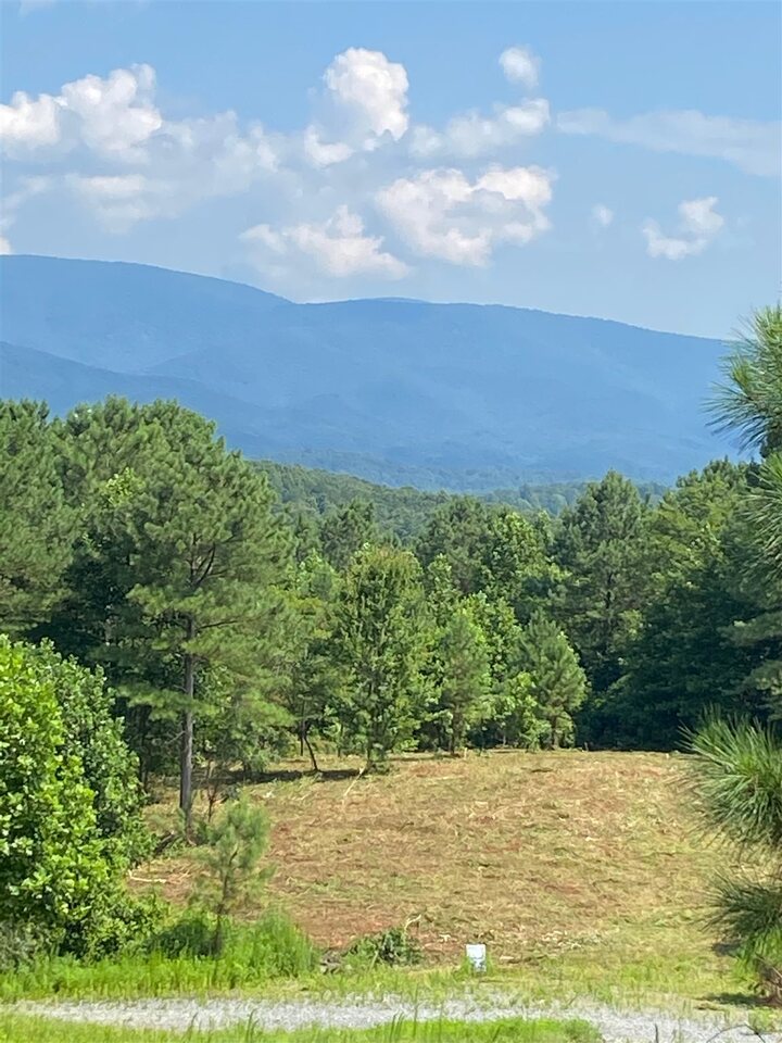 0 Reece Mountain Road, Unit LOT E10 Ellijay, GA 30536 - Photo 1 of 1 a view of an outdoor space and a yard