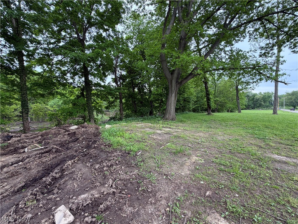 9098 Diagonal Road Streetsboro, OH 44241 - Photo 5 of 25