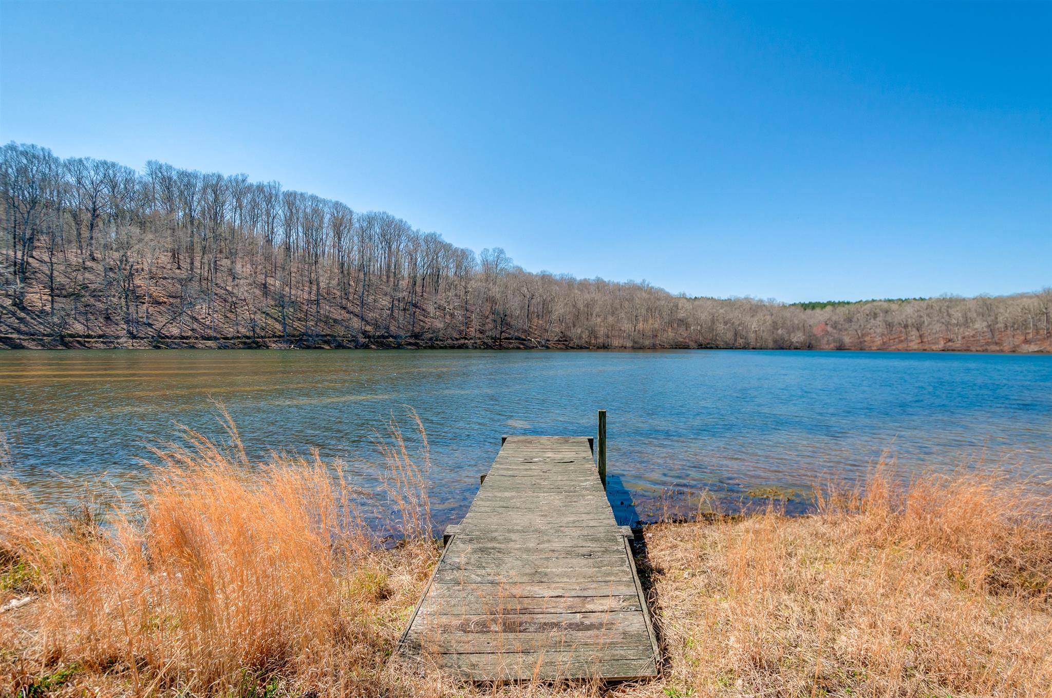 1053 Napier Lake Road Hohenwald, TN 38462 - Photo 8 of 26 Gallery Image 8