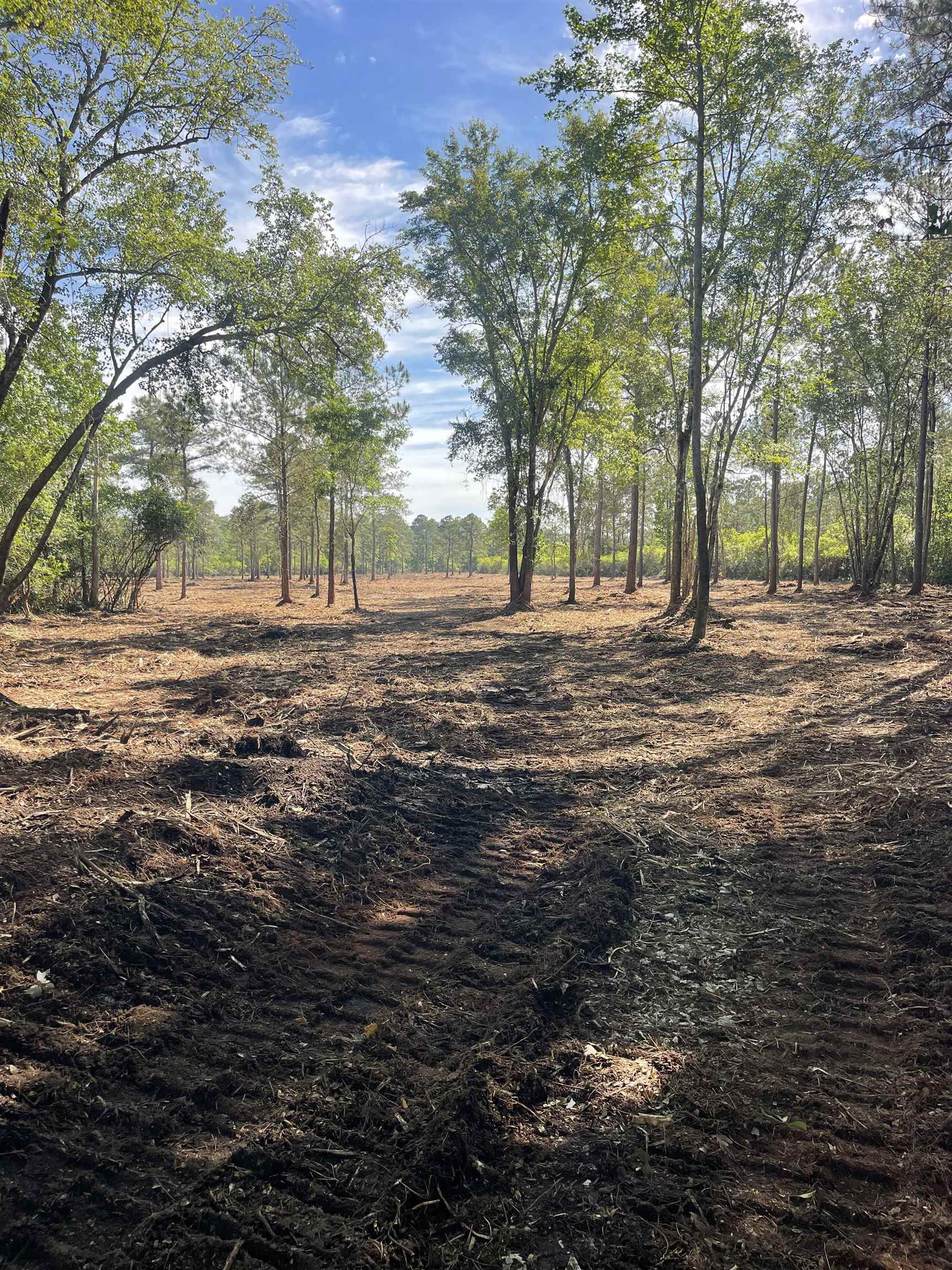 Tbd Tbd Mount Loris, SC 29569 - Photo 23 of 26
