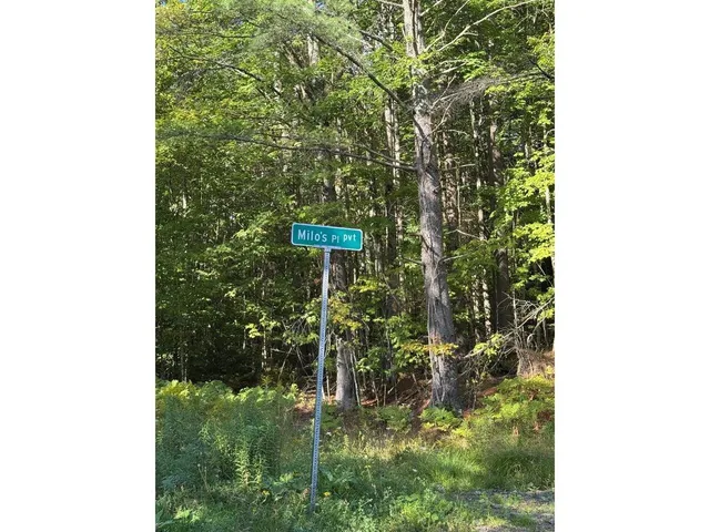 $99,000 | Lot 4 Milo's Place, Unit LOT 4, Worcester, VT 05682
