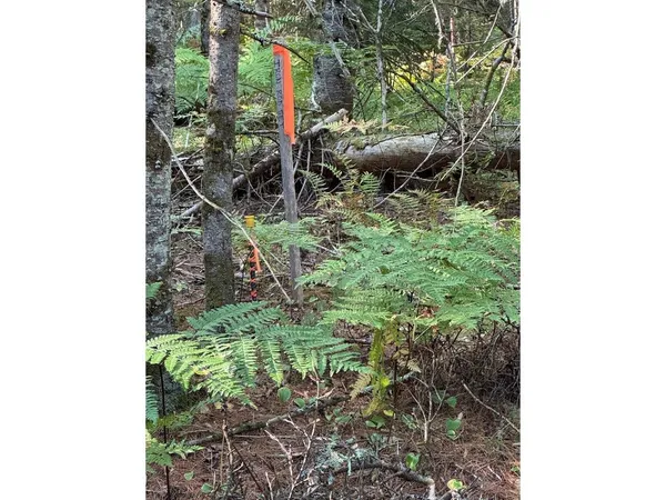 $99,000 | Lot 4 Milo's Place, Unit LOT 4, Worcester, VT 05682