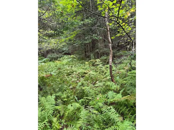 $99,000 | Lot 4 Milo's Place, Unit LOT 4, Worcester, VT 05682