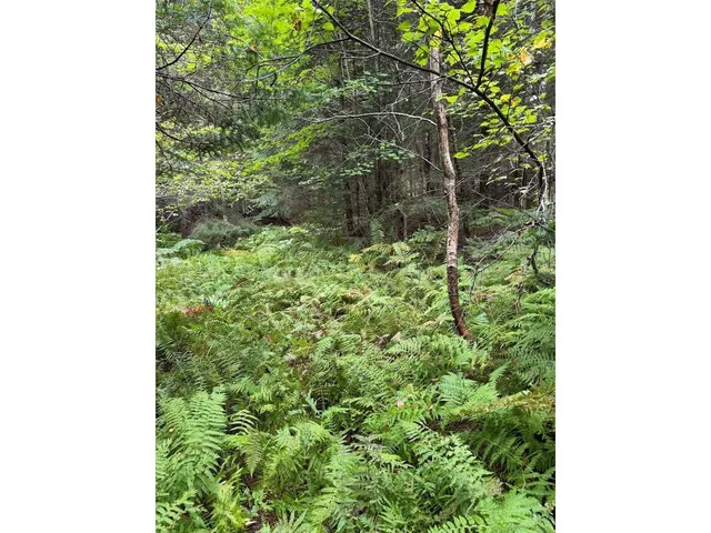 $99,000 | Lot 4 Milo's Place, Unit LOT 4, Worcester, VT 05682