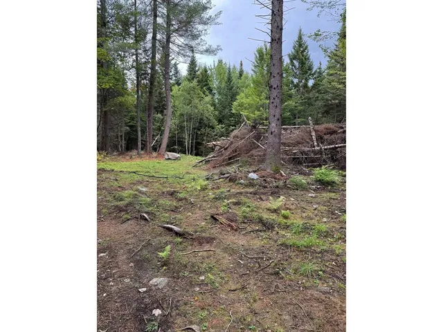 $99,000 | Lot 4 Milo's Place, Unit LOT 4, Worcester, VT 05682