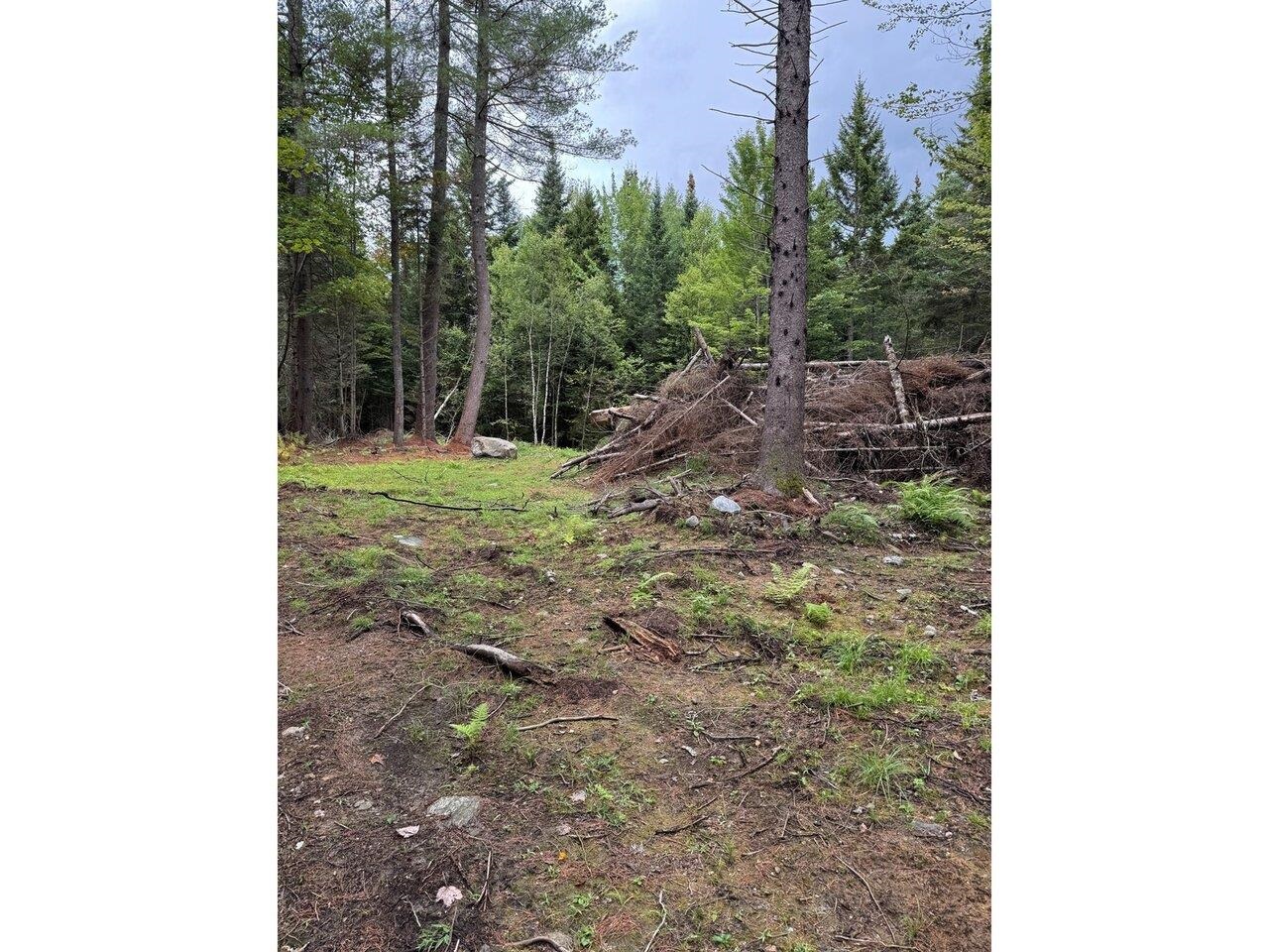 Lot 4 Milo's Place, Unit LOT 4 Worcester, VT 05682 - Photo 8 of 10