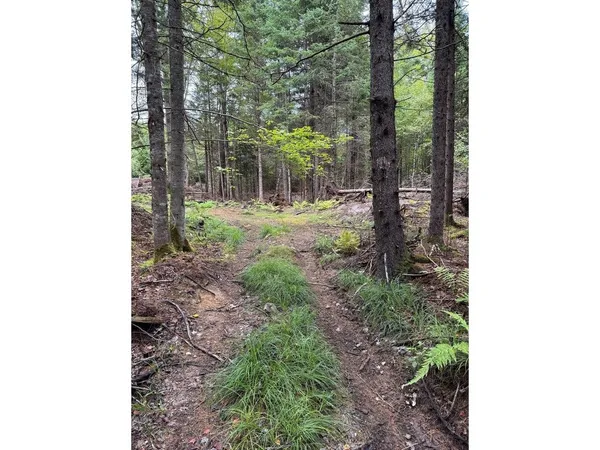$99,000 | Lot 4 Milo's Place, Unit LOT 4, Worcester, VT 05682