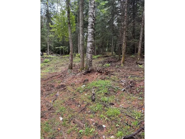 $99,000 | Lot 4 Milo's Place, Unit LOT 4, Worcester, VT 05682