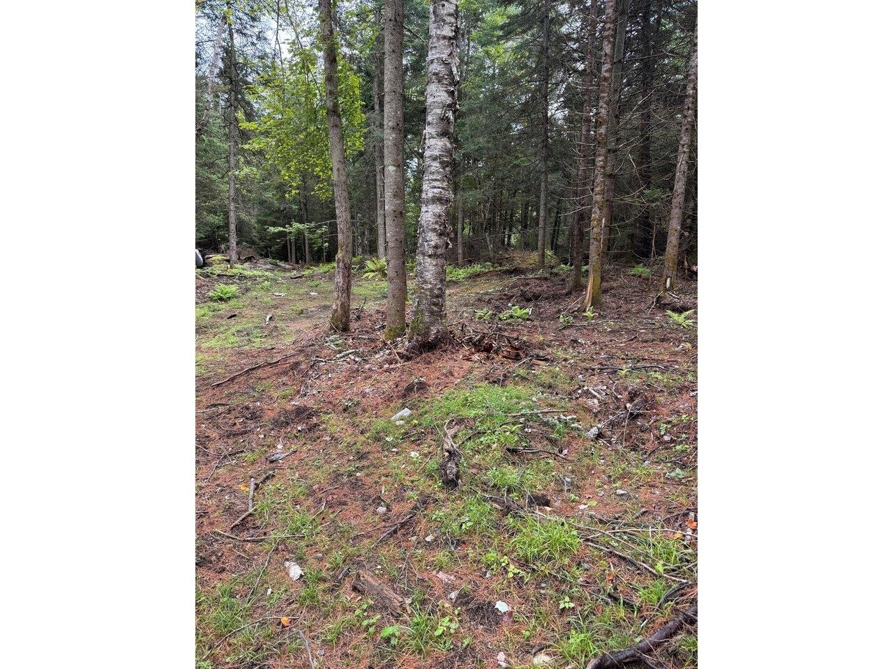 Lot 4 Milo's Place, Unit LOT 4 Worcester, VT 05682 - Photo 10 of 10