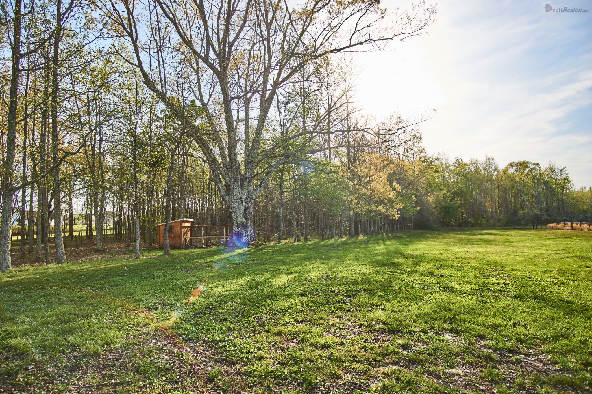 637 Ferrells Loop Road Manchester, TN 37355 - Photo 37 of 43 a view of a field with trees in the background