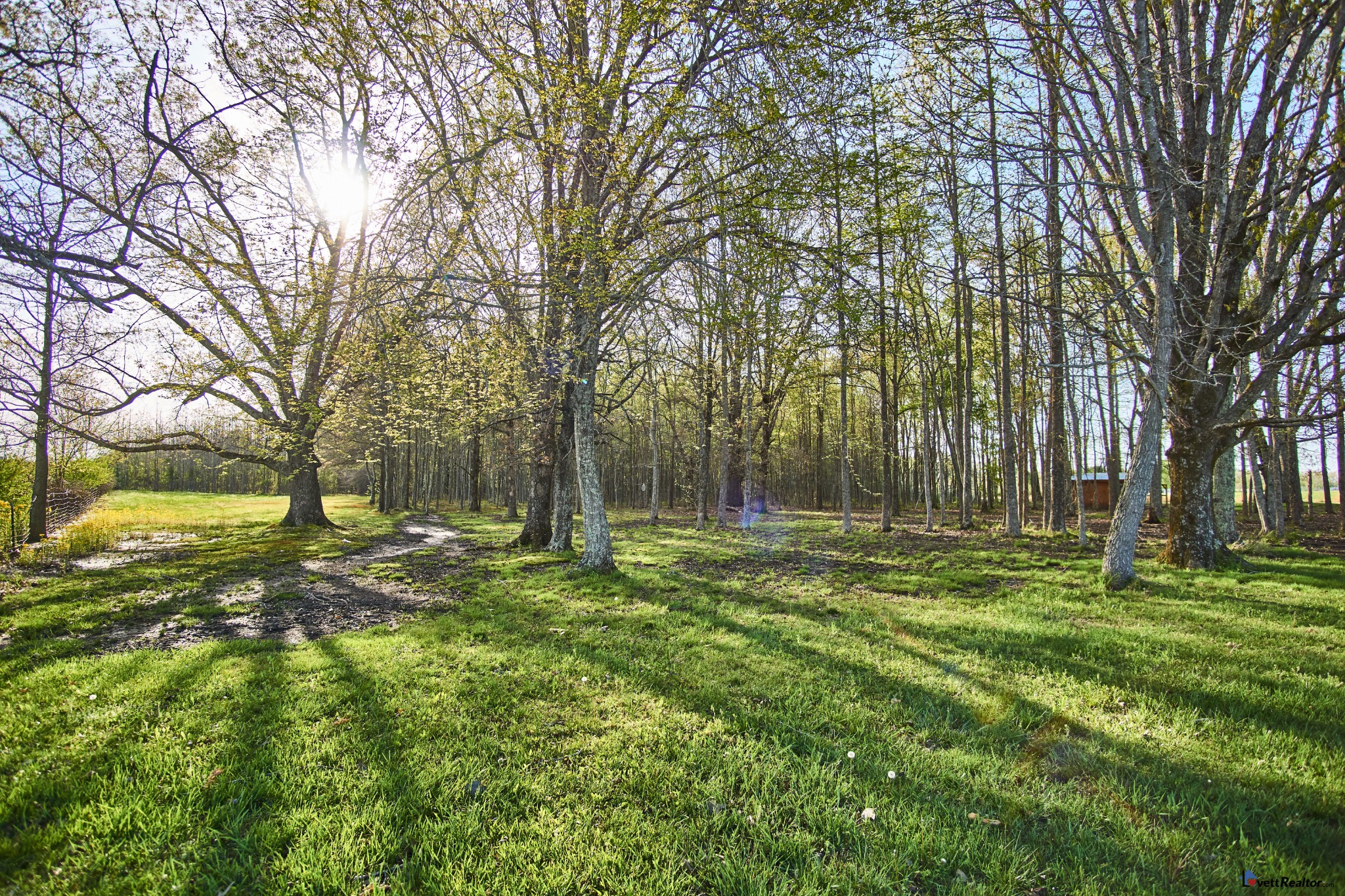 637 Ferrells Loop Road Manchester, TN 37355 - Photo 38 of 43 a backyard of a house with a table and chairs