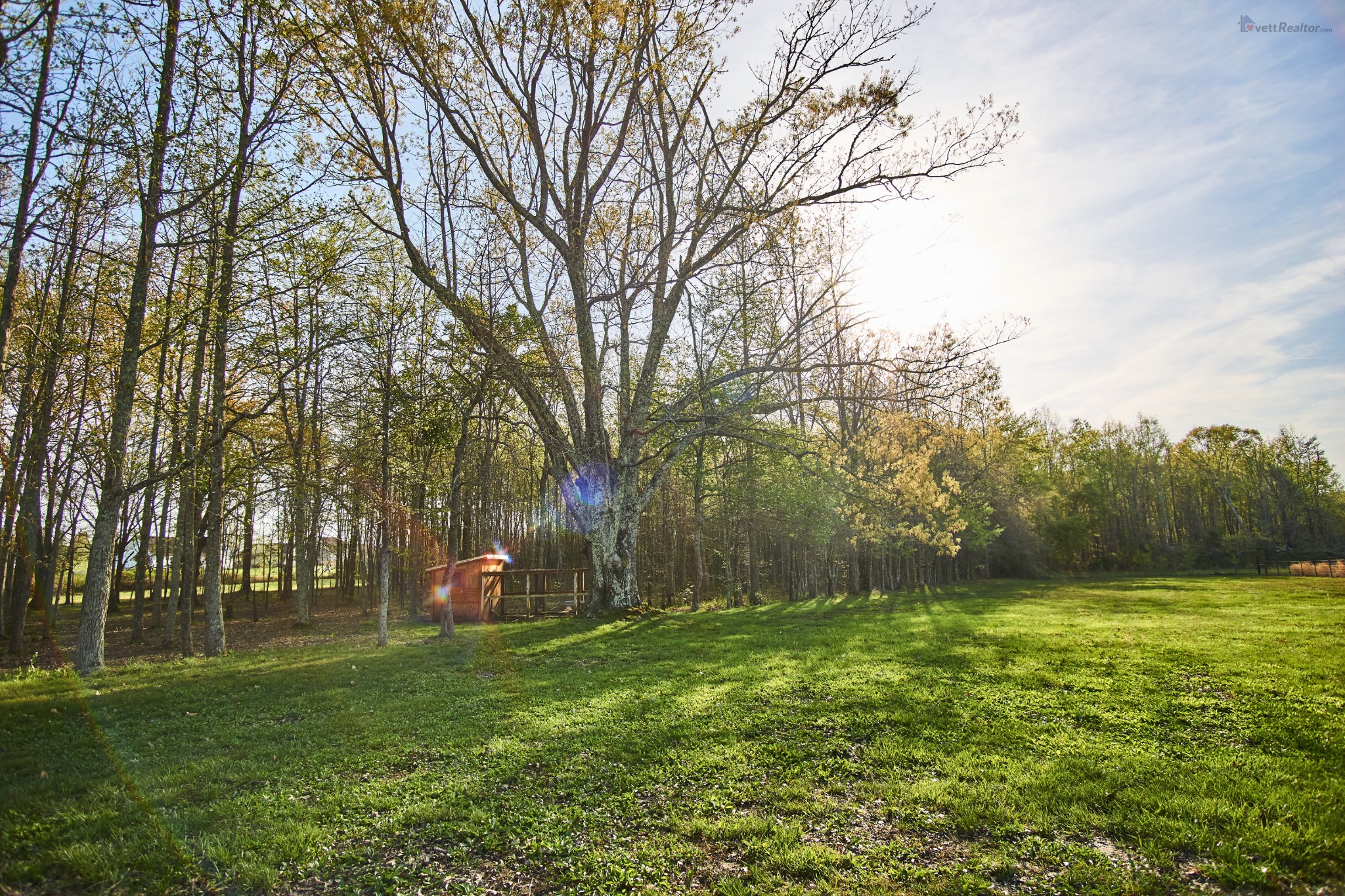 637 Ferrells Loop Road Manchester, TN 37355 - Photo 39 of 43 a garden view