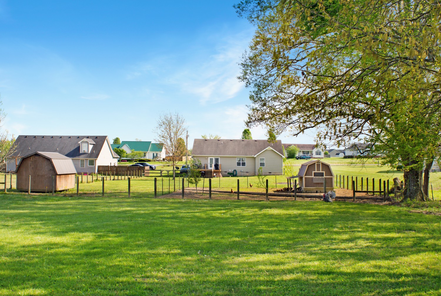 637 Ferrells Loop Road Manchester, TN 37355 - Photo 40 of 43 a view of yard in front of house with trees