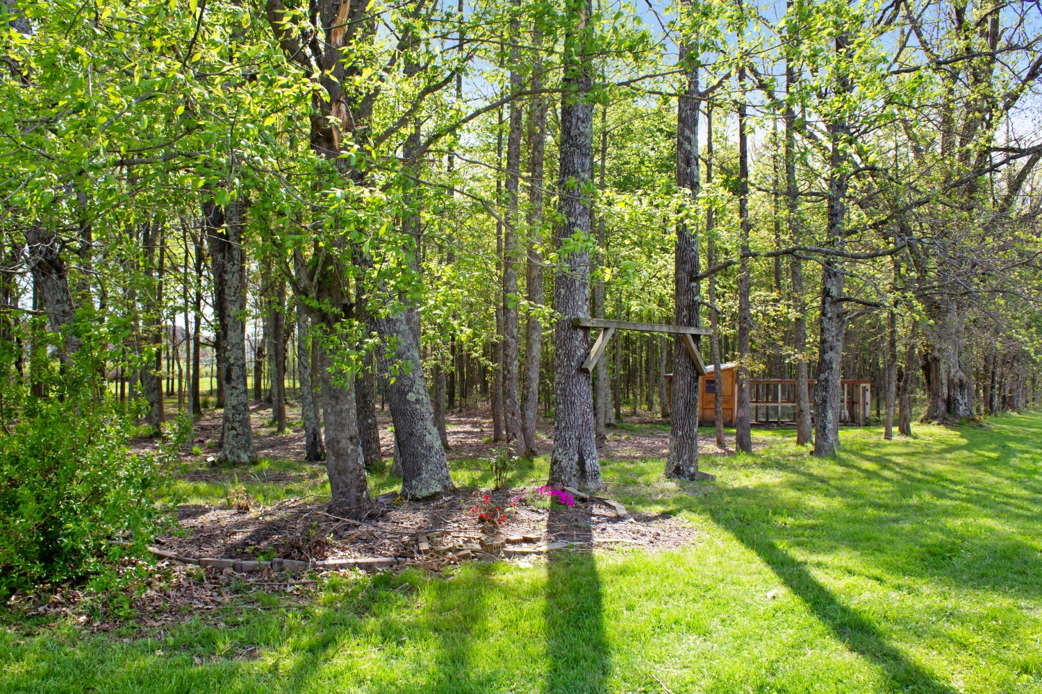 637 Ferrells Loop Road Manchester, TN 37355 - Photo 42 of 43 a view of a backyard with trees