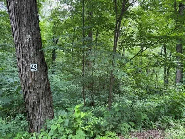 $58,500 | Lot 43 Gata Trail, Unit 43, Maggie Valley, NC 28751