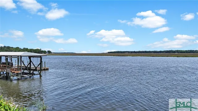 $725,000 | 1443 Gillican Avenue, Townsend, GA 31331